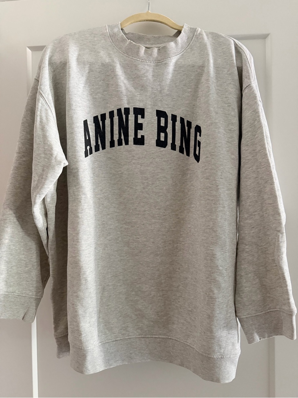Anine Bing Tyler Sweatshirt Grey